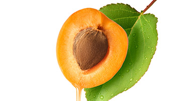 Apricot Kernel Oil