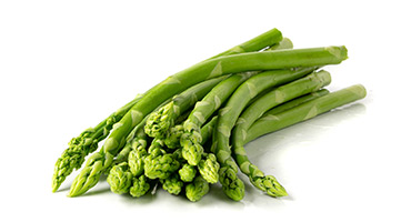 Asparagus Extract