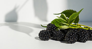 Blackberries