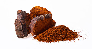 Chaga