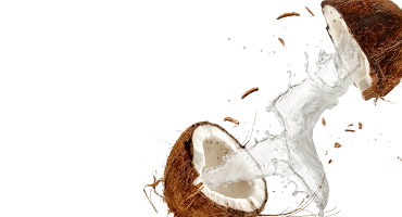 Coconut Water
