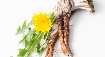 Dandelion Root Powder