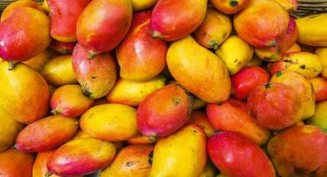 African Mango
