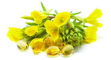 Evening Primrose Oil