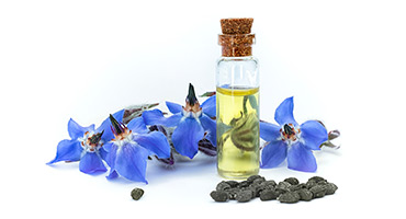Starflower Oil