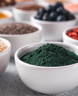 Supplement Ingredients