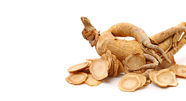Panax Ginseng Extract