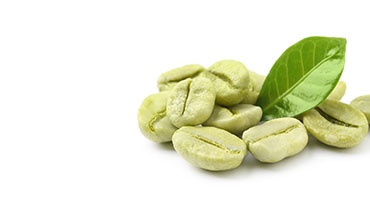 Green Coffee Bean Extract
