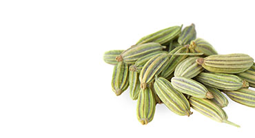 Fennel Seed