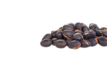 Mucuna Extract (Levodopa)