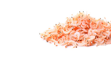 Krill Oil