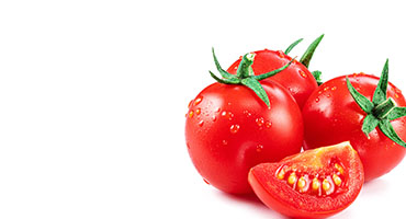 Lycopene