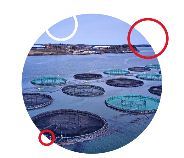 Aquaculture