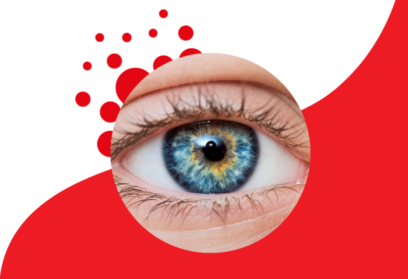 Best Supplements to Improve Your Eyesight