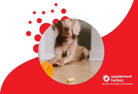 Pet Supplements – Are They Crucial For A Longer Life?