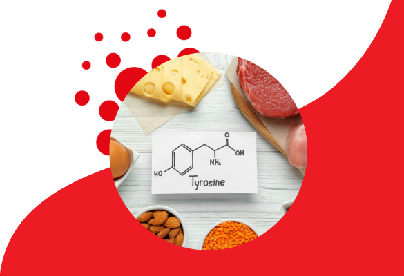 N-Acetyl L-Tyrosine vs L-Tyrosine: What’s the Difference?