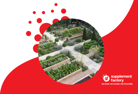 The Harmony of Horticulture: A CEO’s Journey into Nutritional Gardening