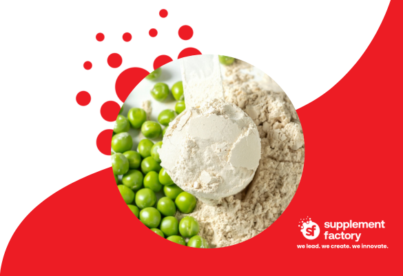 The Best Whey Protein Alternatives