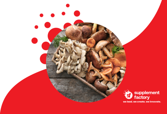 Optimise Your Brain: The Top 10 Natural Nootropics You Need to Know About