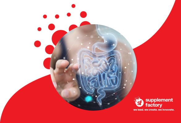 The Comprehensive Guide to Probiotic Manufacturing