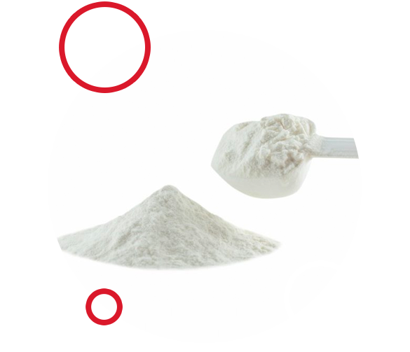 collagen supplements