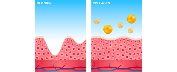 collagen supplements