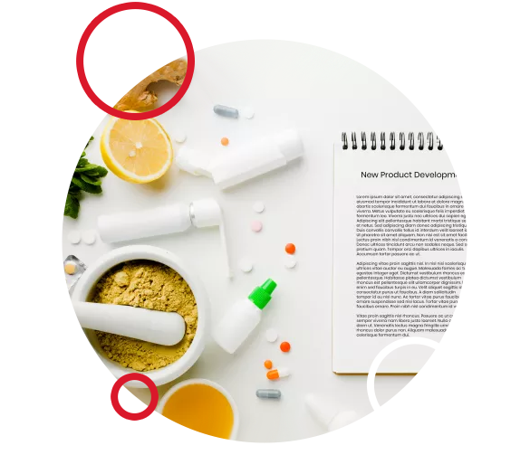 New Product Development Supplement Factory